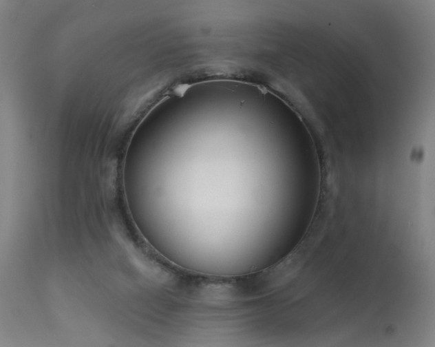 X0000113320066200909211205