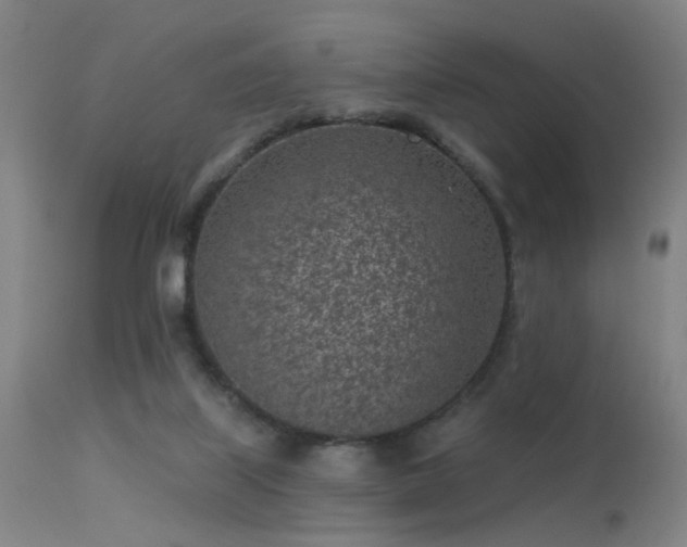 X0000113320067200909211205