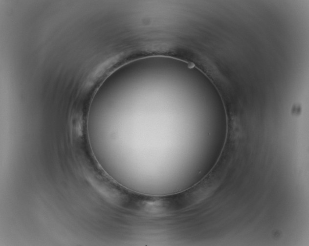 X0000113320068200909211205