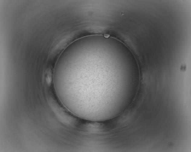 X0000113320069200909211205