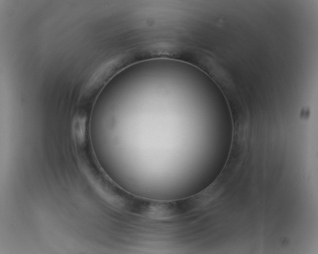 X0000113320070200909211206