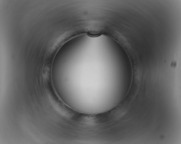 X0000113320071200909211206