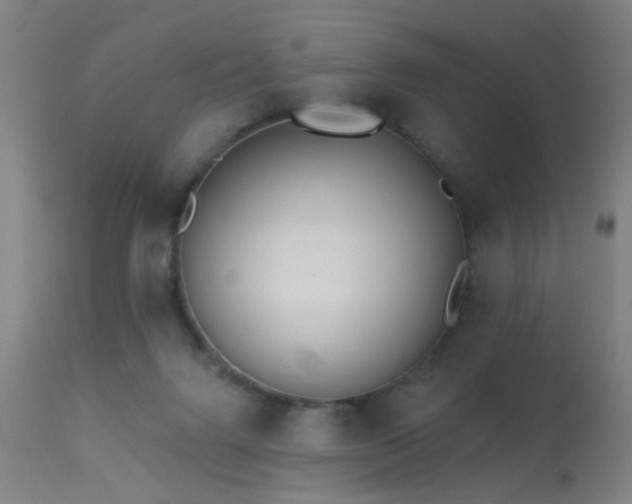 X0000113320072200909211206