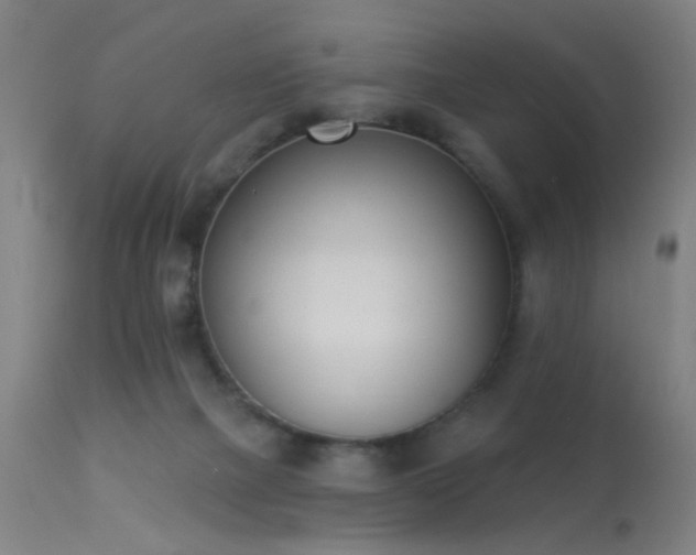 X0000113320073200909211206