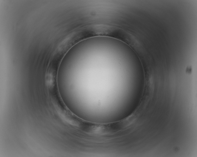 X0000113320074200909211206