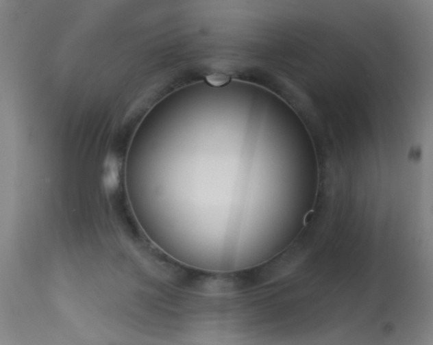 X0000113320075200909211206