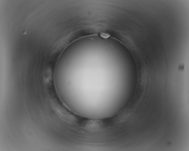 X0000113320077200909211206