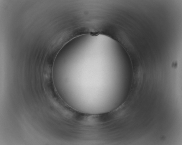 X0000113320078200909211206