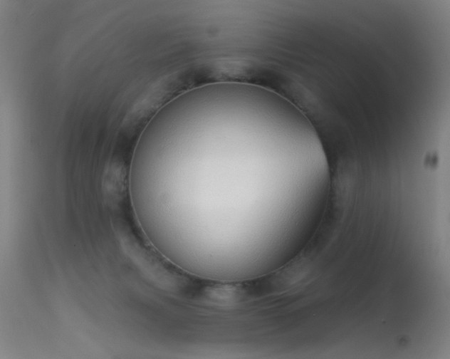 X0000113320079200909211206