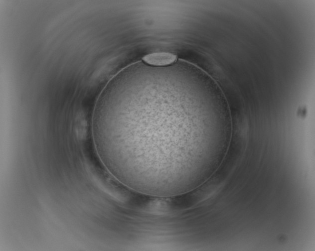 X0000113320080200909211206