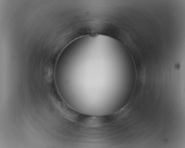 X0000113320082200909211206