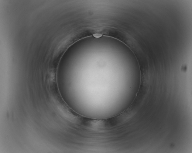 X0000113320085200909211206