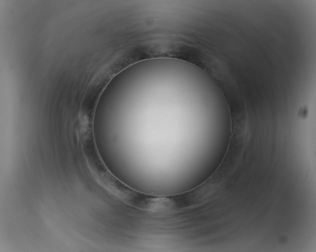 X0000113320087200909211206