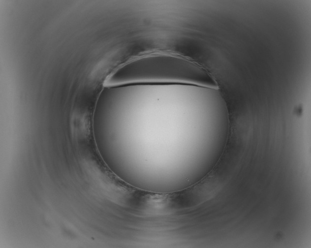 X0000113320088200909211206