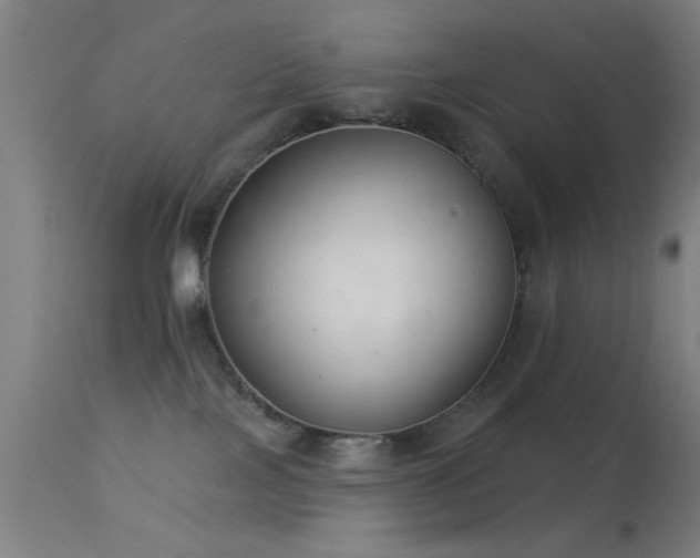 X0000113320089200909211206