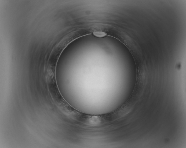 X0000113320091200909211206