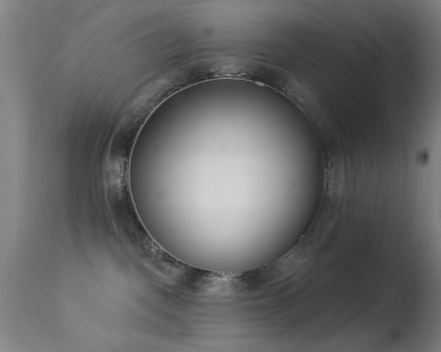 X0000113320093200909211206