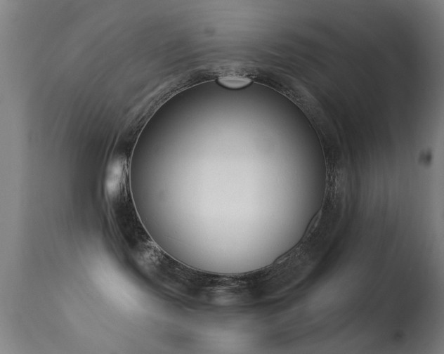 X0000113320095200909211206