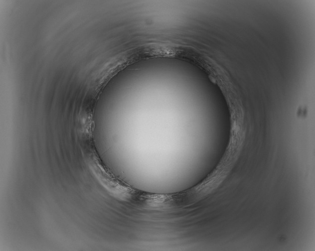 X0000113320096200909211206