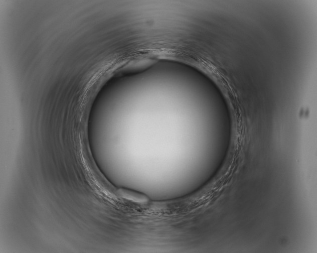 X0000113320097200909211205