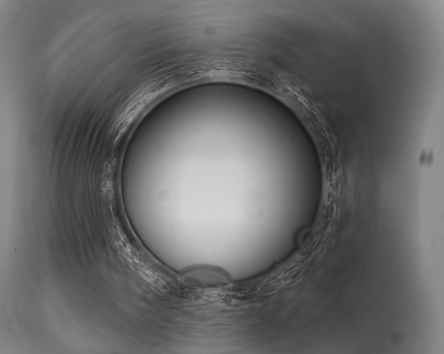 X0000113320098200909211205