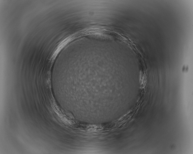 X0000113320099200909211205