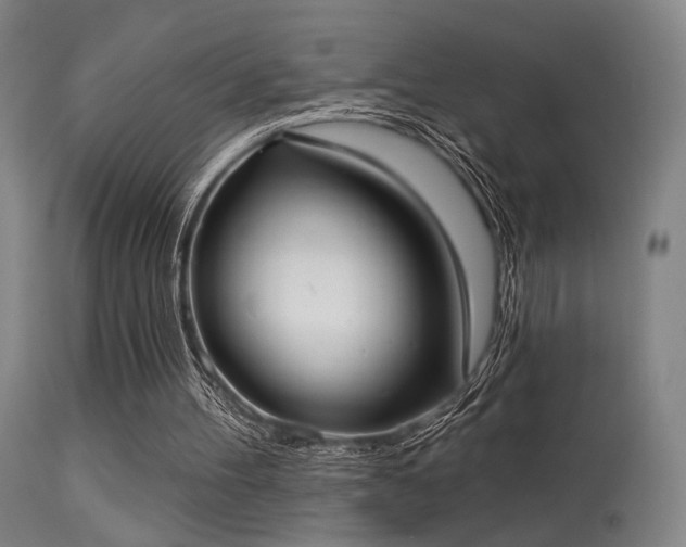 X0000113320100200909211205