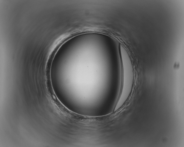 X0000113320104200909211205