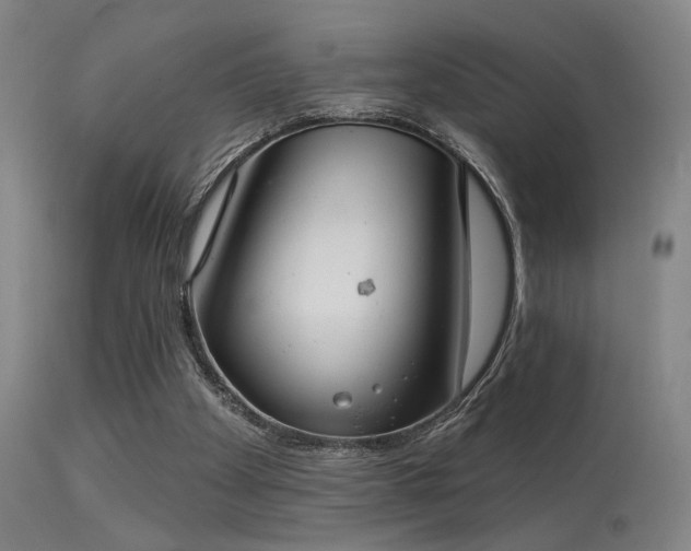 X0000113320105200909211205