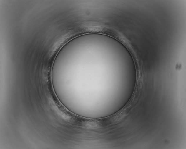 X0000113320106200909211205