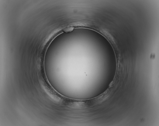 X0000113320108200909211205