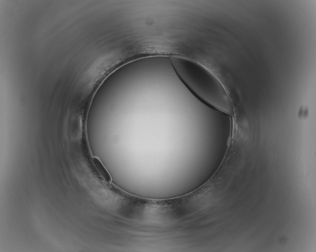 X0000113320109200909211205