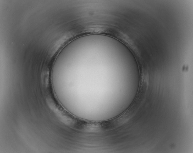 X0000113320110200909211205