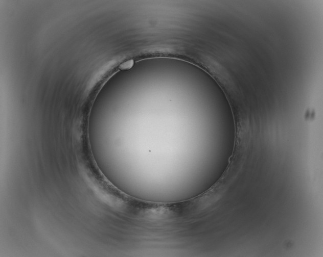 X0000113320112200909211205