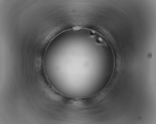 X0000113320113200909211205