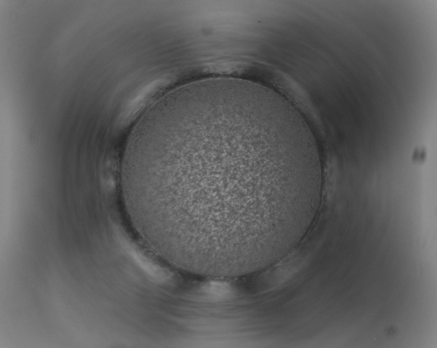 X0000113320114200909211205