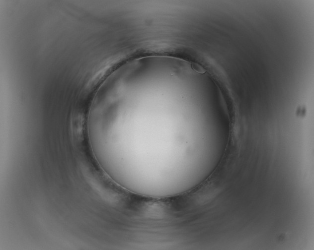 X0000113320115200909211205