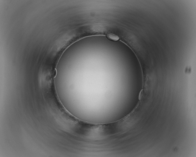 X0000113320116200909211205