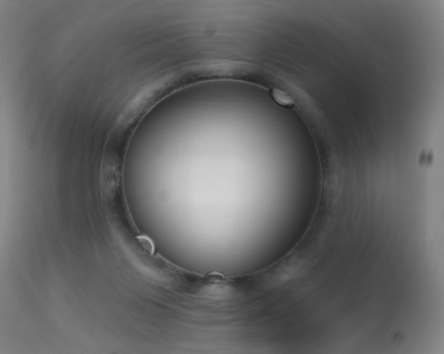 X0000113320119200909211205