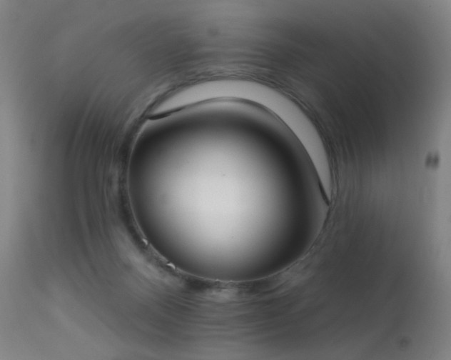 X0000113320120200909211205