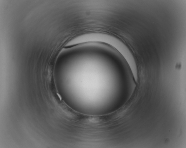 X0000113320121200909211205