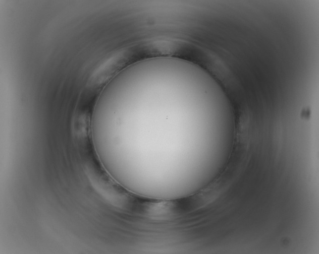 X0000113320122200909211205