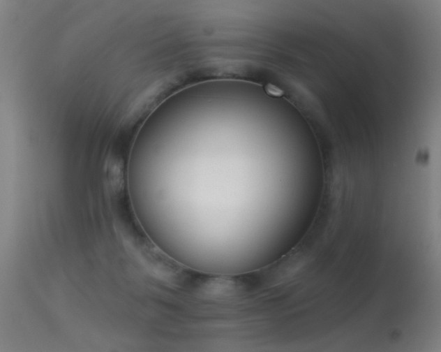 X0000113320123200909211205