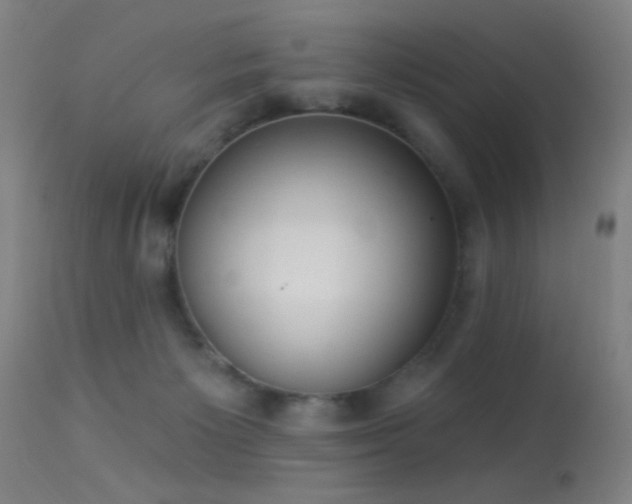 X0000113320125200909211205