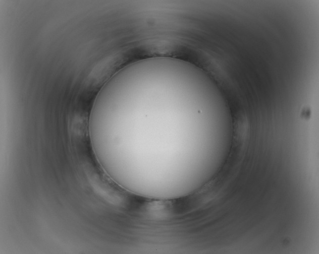 X0000113320126200909211205