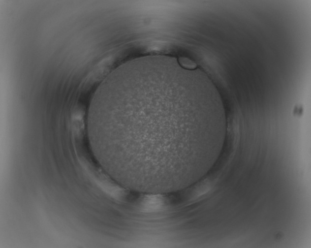 X0000113320127200909211205