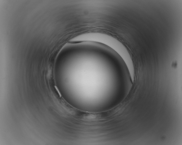 X0000113320129200909211205