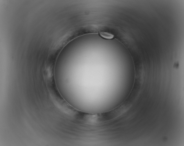 X0000113320131200909211205