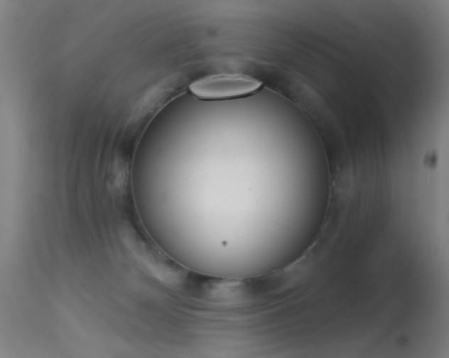 X0000113320132200909211205