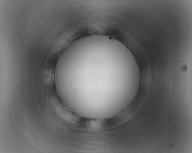 X0000113320134200909211205